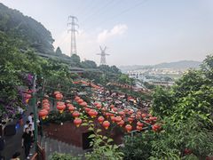 -枇杷园食为鲜火锅(南山店)