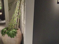 -黄山老妈·土菜(碧桂园店)