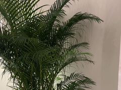 -YCHL FIT 健身(星寰店)