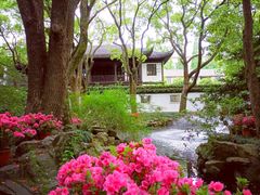 -上海醉白池公园
