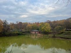 -合肥野生动物园