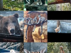 -北京野生动物园