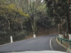 -庐山恋影院(河西路店)