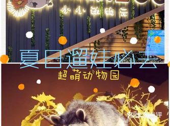 火爆全网的大型亲子游玩圣地