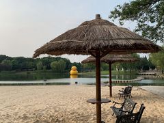 -上海佘山世茂艾美酒店