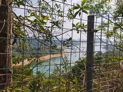 -马峦山郊野公园