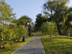 -月湖风景区