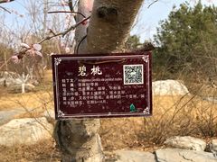-燕郊植物园
