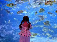 -海合安成都极地海洋公园