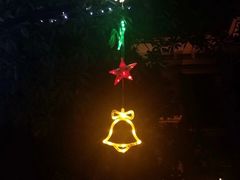 -上海浦东星河湾酒店