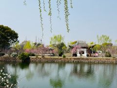 -无锡蠡湖国家湿地公园-蠡园