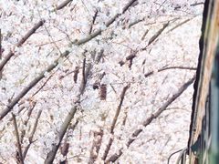 -新天地活力PARK