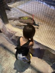 -酷嗒动物文化乐园(cutezoo西溪乐天城店)