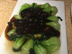 -功德林(南京西路店)