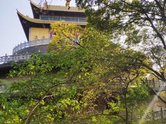 -南京市无想山景区