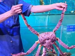 -青蓬海上捞蒸品海鲜城(海岸城店)