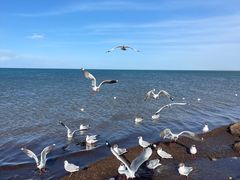 -青海湖国家重点风景名胜区