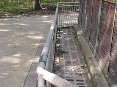 -宿豫区运河湾森林动物园