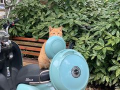 -冰川延边料理·炭烤串(原小木屋店)