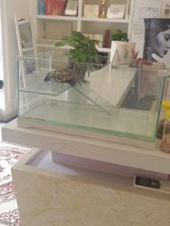 -香秀空间科技抗衰·美容中心