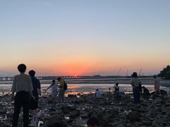 -宝安西湾红树林湿地公园