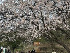-南北湖风景区