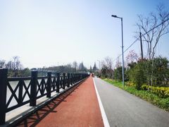 -上海长兴岛郊野公园