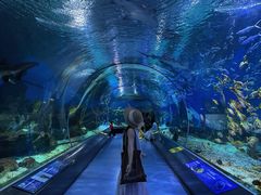 -海合安武汉极地海洋公园