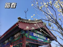 -西海子公园