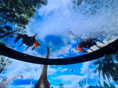 -中国西峡恐龙遗迹园