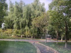 -大兴滨河森林公园