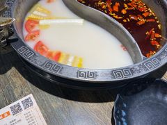 -销魂美蛙鱼头火锅(上海首店)