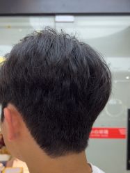 -藤野造型