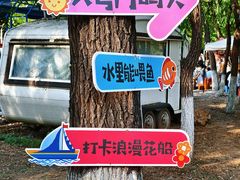 -长白岛森林公园