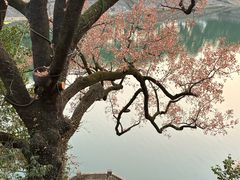 -蒋氏故居