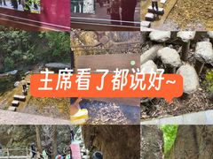 -牛背梁国家森林公园