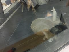 -弓舍射箭俱乐部(高新总店)
