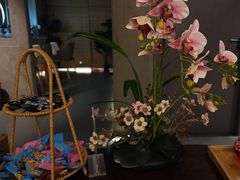 -施奈儿.洗头頭療.按摩SPA.采耳(上梅林店)
