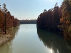 -上海海湾国家森林公园