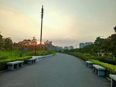 -大亚湾红树林城市湿地公园