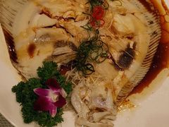 清蒸多宝鱼-大谊园