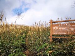 -东白山