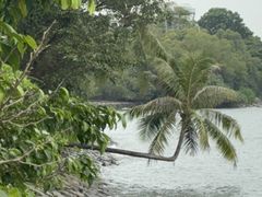 -巴拉湾海滩