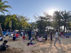 -宝安西湾红树林湿地公园