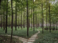 -河南省黄河迎宾馆