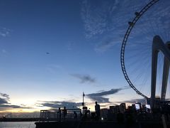 -宝安西湾红树林湿地公园