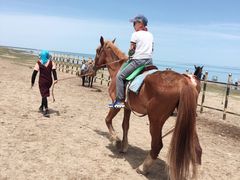 -青海湖国家重点风景名胜区