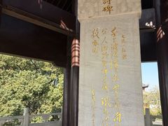 -观潮胜地公园