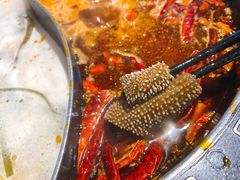-销魂美蛙鱼头火锅(上海首店)