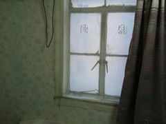 -南汇水蜜桃采摘(大团店)